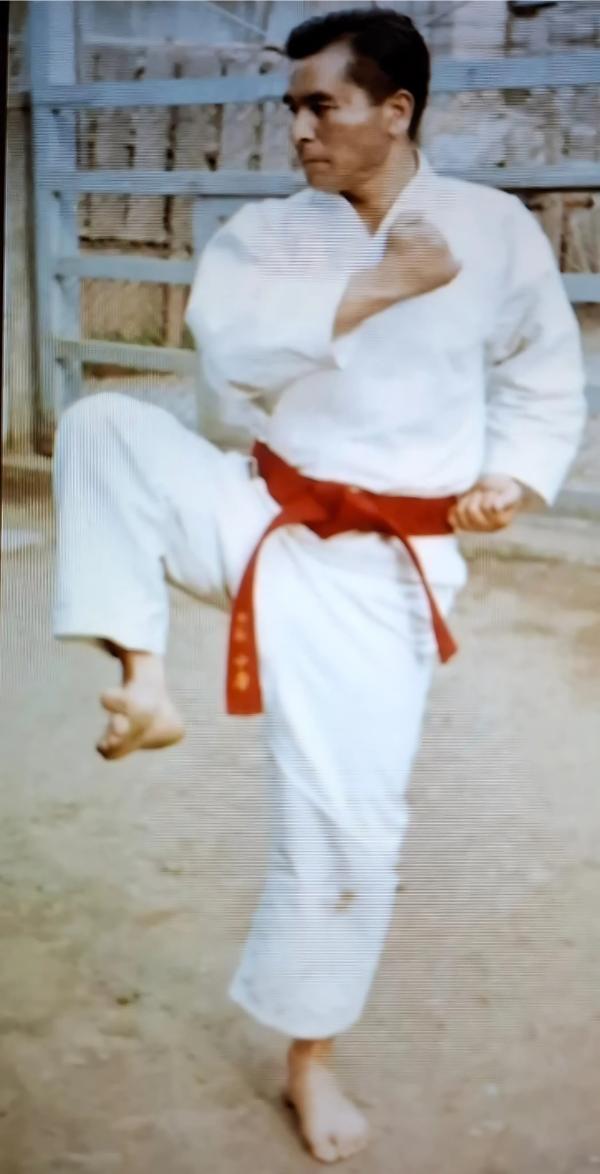 Haraku Nakama (600 x 1174 px)